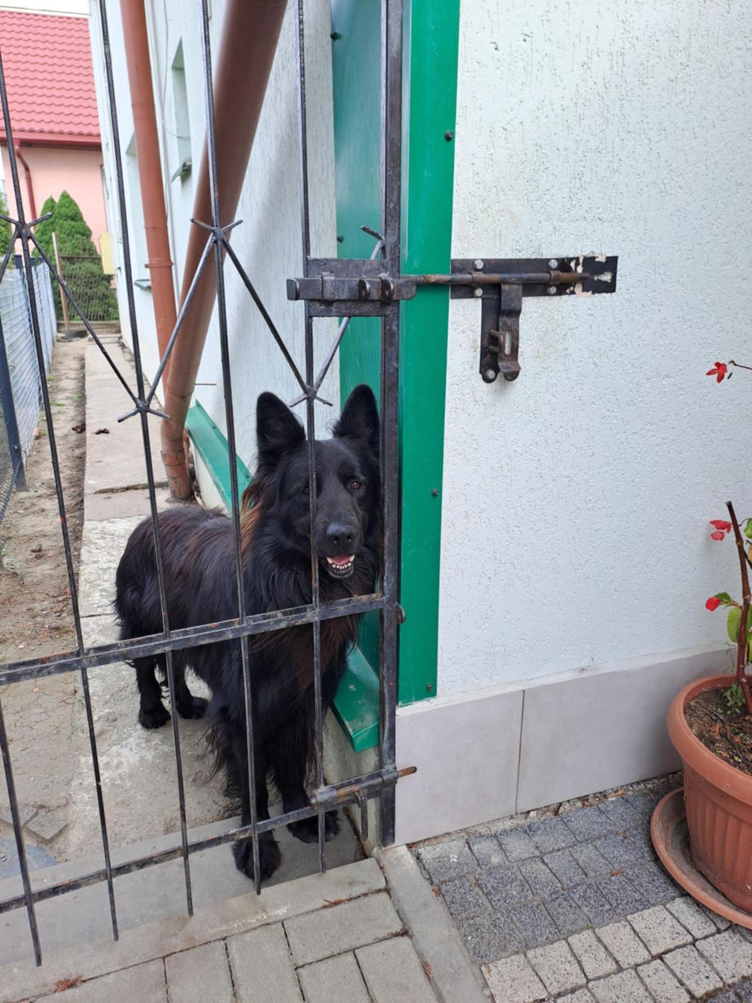 Pokoje Goscinne Zaglobianka بشيميش المظهر الخارجي الصورة